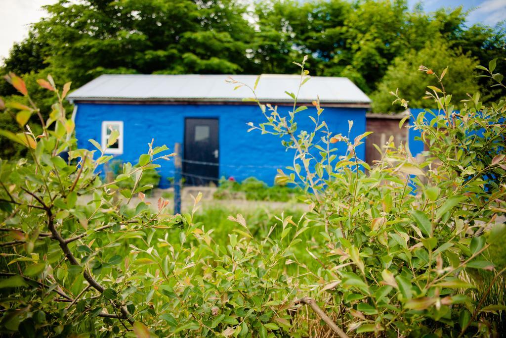 The Snowdon Inn - Y Fricsan Cwm-y-glo Phòng bức ảnh